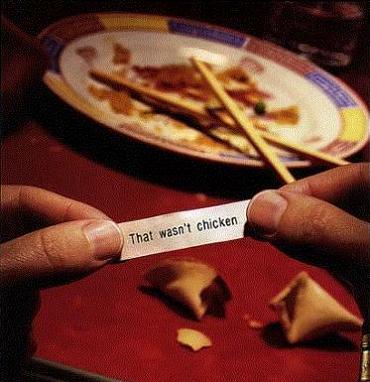 Chinese Fortune Cookie