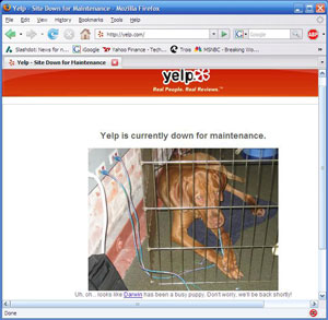 Yelp Puppy