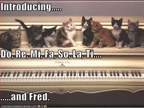 lolcats-fred
